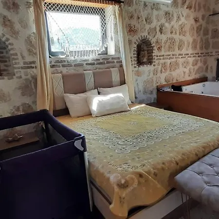 فيلة Elisam كاس